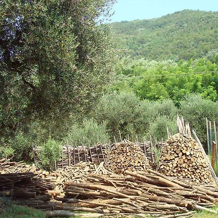 Il Castagneto Vila Teolo Exterior foto