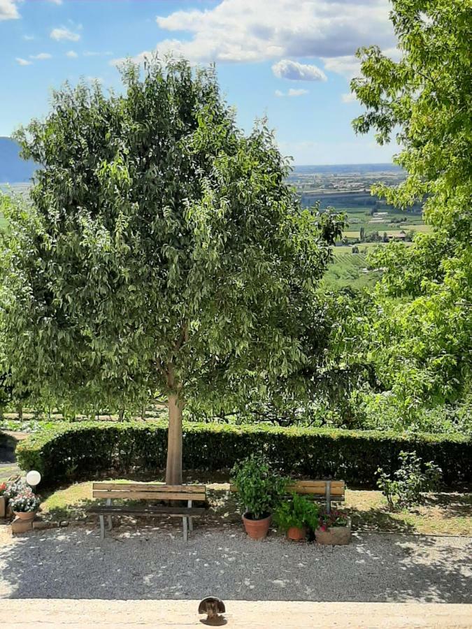 Il Castagneto Vila Teolo Exterior foto
